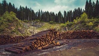 COP26: Δέσμευση των Ηγετών για τον Τερματισμό της Αποψίλωσης των Δασών ως το 2030